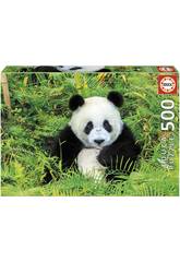 Puzzle 500 Ours Panda Educa 17082