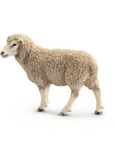 Mouton