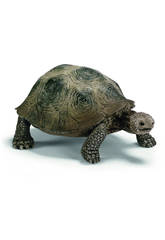 Tortue G�ante