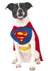 D�guisement mascotte Superman Taille L Rubies 887892-L