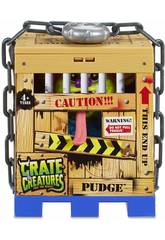 Crate Creatures Lib�rer la B�te Giochi Preziosi CRE00000
