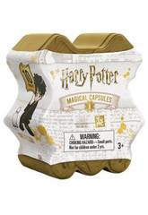Harry Potter C�psule Magique Famosa 700015842
