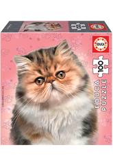 Puzzle Junior 100 Chat Persan Educa 18804