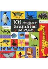 101 Immagini Animali Selvatici Susaeta S5079001