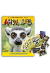 Animaux 2020 Pack 2 Albums et 6 Enveloppes Panini