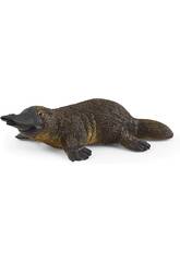 Ornithorynque Schleich 14840