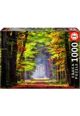 Puzzle 1000 Herb Spaziergang Educa 19021