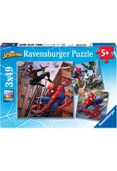 Puzzle Spiderman 3x49 Piezas Ravensburger 08025