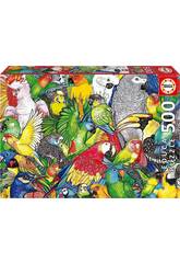 Quebra-cabeça 500 Papagaios de Educa 19547