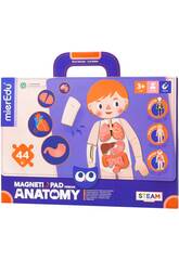 Magntique Pad Anatomie Mier Edu ME0511