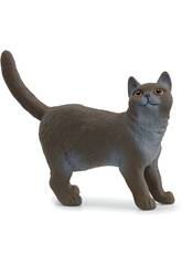 Farm World British Shorthair Cat Schleich 13973