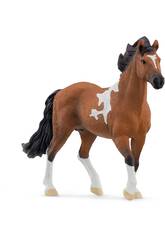 Horse Club talon Mangalarga Marchador de Schleich 13978