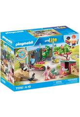 Playmobil Le poulailler de ma vie 71510