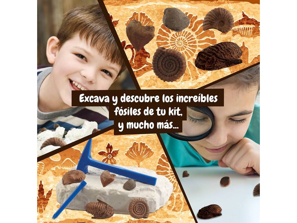 Escavação Fósseis Science4You 80004636