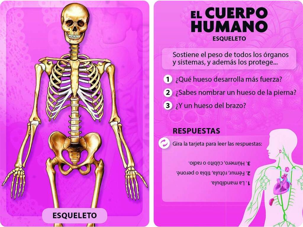 Livre I Découvrir et jouer le corps humain