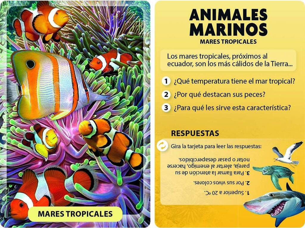 Livre Je Découvre et Joue avec les Animaux Marins