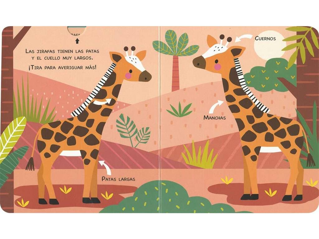 Livre de pages cachées Animaux sauvages avec onglets