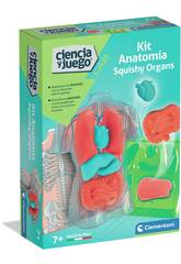 Kit Anatomia Squishy Organs