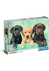 Puzzle 1000 Three Labs
