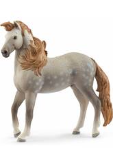 Horse Club talon Andalou