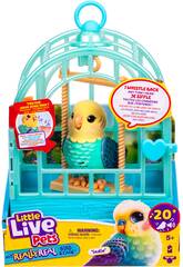 Little Live Pets Animal interactif Oiseau avec cage