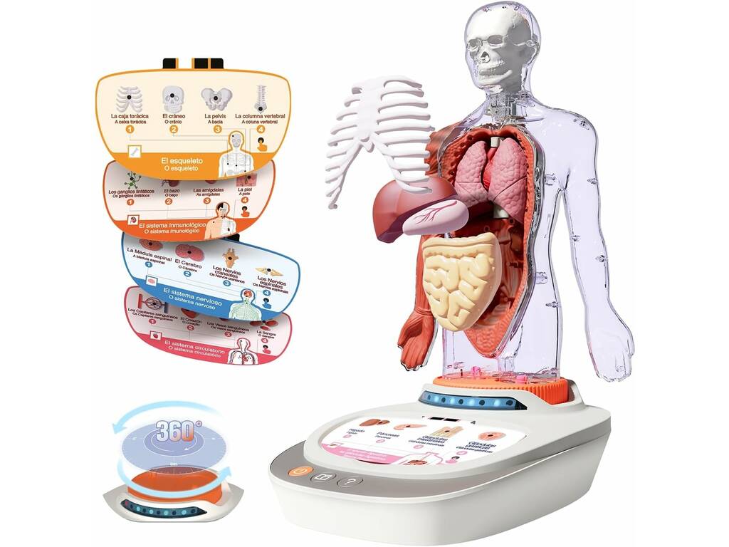 So Science Le corps humain interactif