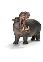 Hippopotame